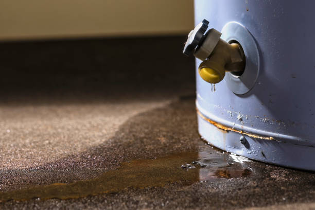Best 24/7 water damage repair  in Lloyd Harbor, NY