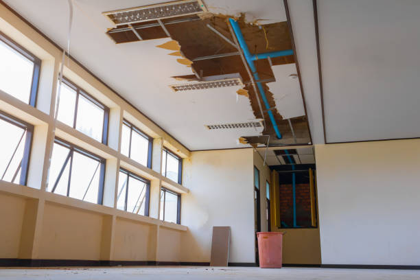 Best Basement water damage restoration  in Lloyd Harbor, NY