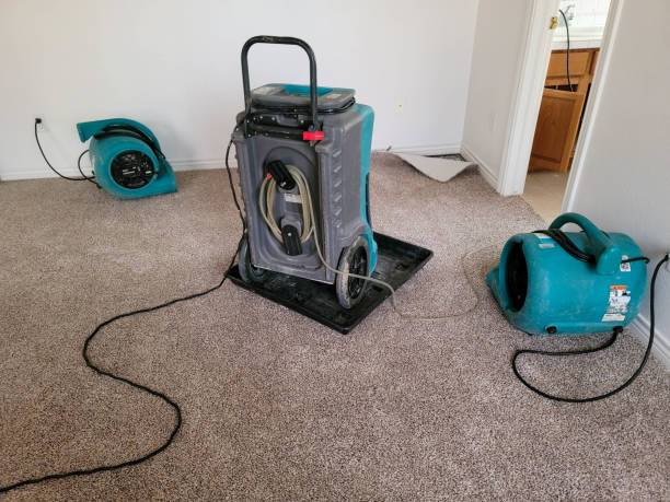 Best 24-hour water damage restoration  in Lloyd Harbor, NY