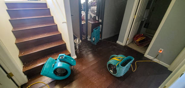  Lloyd Harbor, NY Water damage restoration Pros