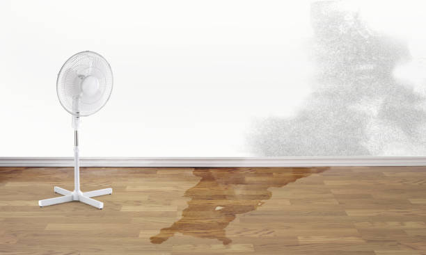 Best Water damage restoration insurance claims  in Lloyd Harbor, NY