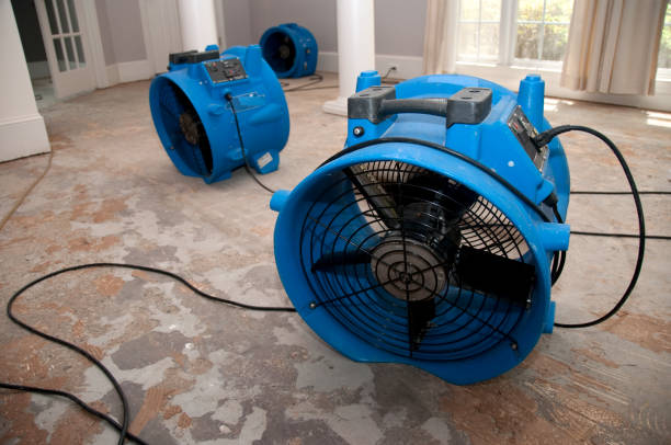 Best Flood damage cleanup  in Lloyd Harbor, NY