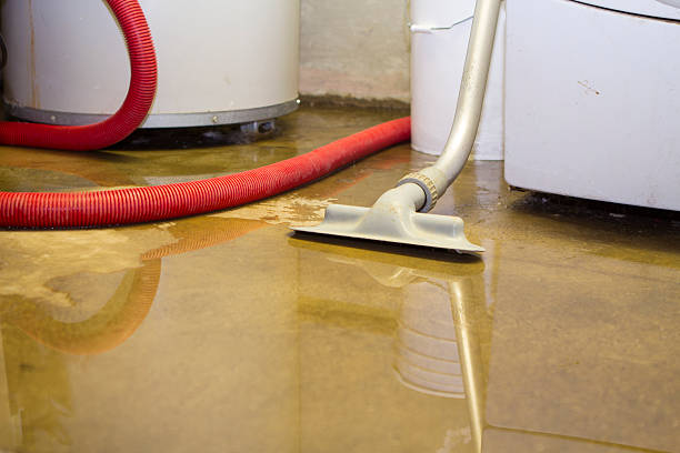 Best Water damage restoration near me  in Lloyd Harbor, NY