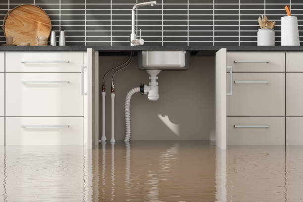 Best Flood restoration services  in Lloyd Harbor, NY