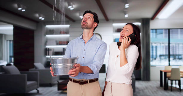 Best Ceiling water damage repair  in Lloyd Harbor, NY